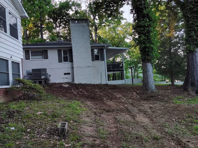 What should I do if a tree falls in my yard?<br />
