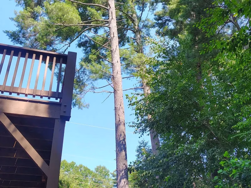 Who removes fallen trees after a storm?<br />
