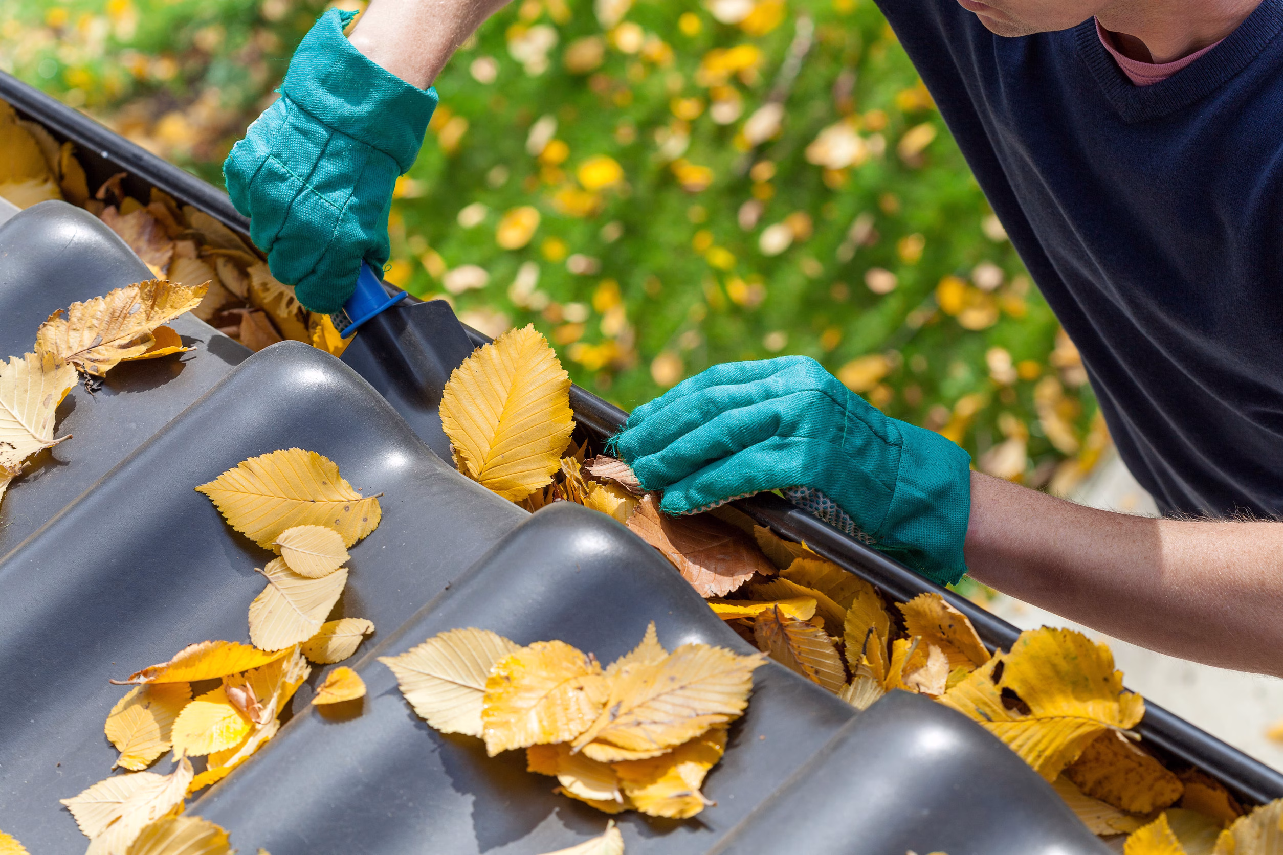 Tree Removal in @fname@ | B&G Tree Services & Pressure Washing